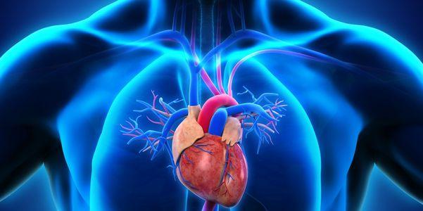 Hipertensão arterial pulmonar