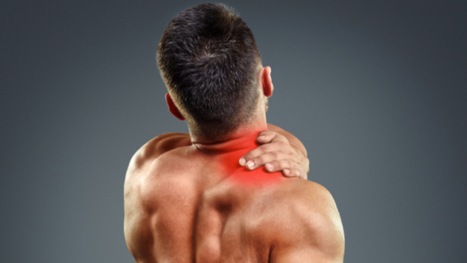Спина зоны боли. Спина. Болит спина. Боль в мышцах. Мышцы спины фото.